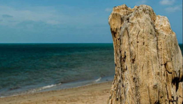 Recorriendo playas paradisíacas