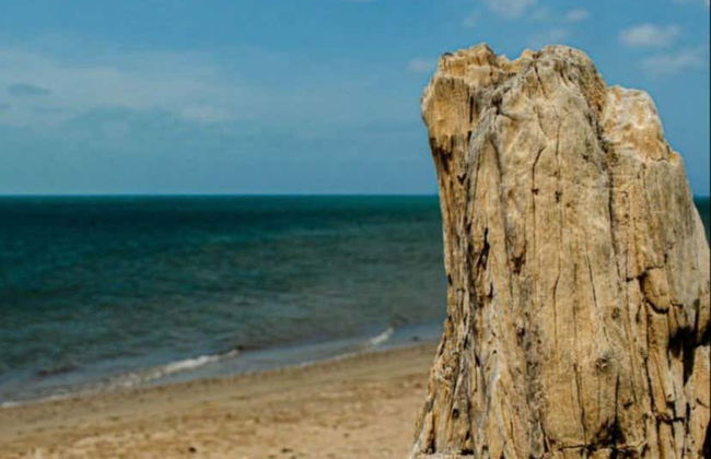 Excursión a las playas de Cabo de la Vela - Foto 4