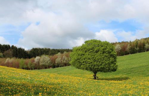 Ferienwohnung Moos-Hochsauerland - Foto 20