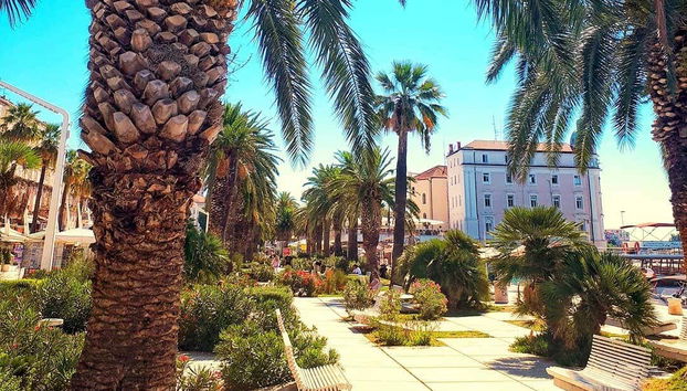 Visite guidée du palais de Dioclétien - Foto 5