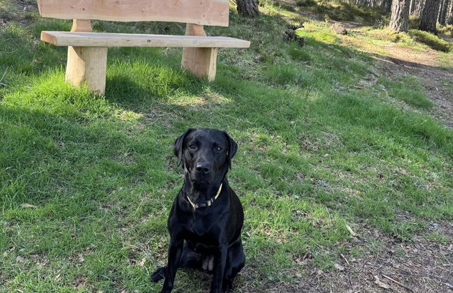 Highland Chalet Retreat in Boat of Garten - Foto 31