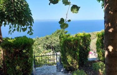 Villa Marija Podgora - Photo 4