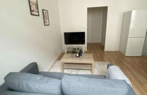 Appartement coup de coeur en centre-ville - Foto 17