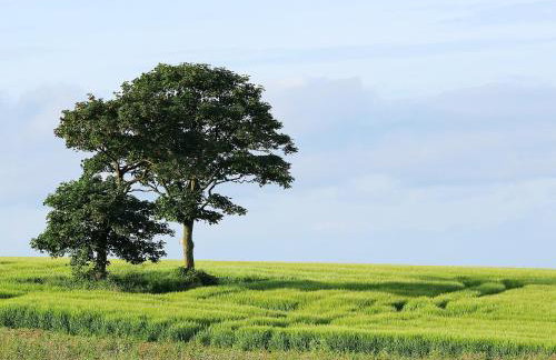 The Barn-Ixk - Foto 17