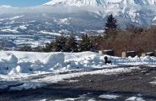 Le clos des anges - Foto 38