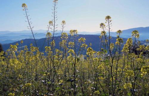 Ferienwohnung Stocker - Foto 28