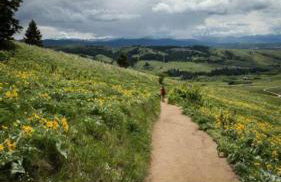 Bozeman Basecamp - Foto 19