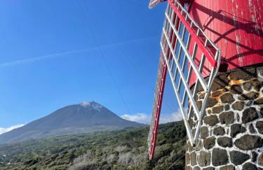 Welcome Pico - Photo 13