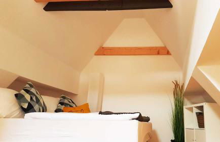 Apartment Pegnitzmühle mit Pegnitzinsel - Foto 20