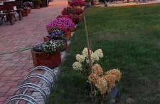 Apartamenty Pod Magnolią - Foto 7