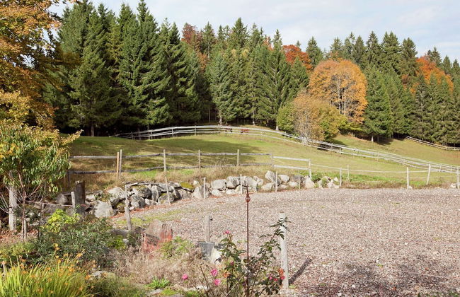 Apartment in Dachsberg-urberg - Foto 20