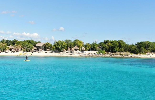 Catalina Island und Schnorcheln an The Wall - Katamaran-Tour - Foto 6