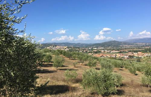 Le Terre Di Isa - Photo 19