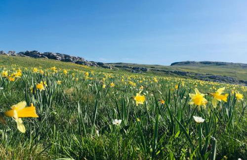 L'étable du Vercors - Foto 29