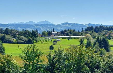 Dinkelbach Feriendomicil 2 D - Foto 4