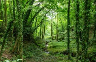 Beautiful 1 bed Glamping pod in Battle - Photo 30