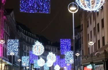 Jardin Fleuri - Foto 32