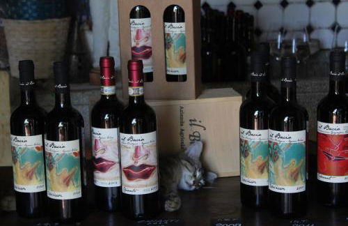 Agriturismo & Winery Il Bacio - Foto 27