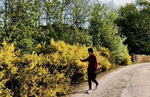 Azuria Black Forest Loft - Photo 21