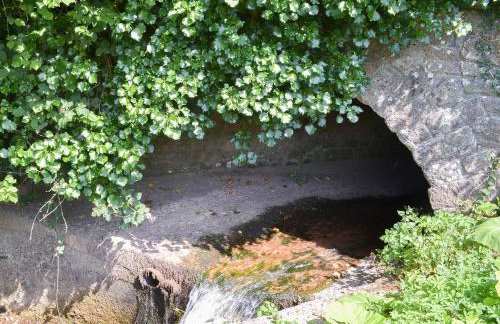 The Piglet - Foto 10