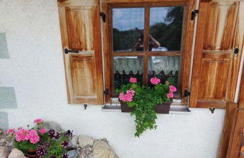 Ferienwohnung Hofbauer - Foto 4