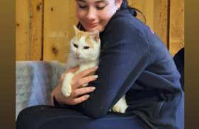 Ferienhaus auf dem Lusitanohof Jäger - Foto 23