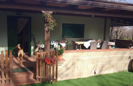 Chalet immerso nel Bosco - Foto 23