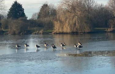 Historic Cotswold Chic Style for UK staycation - Photo 32