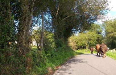 Gestiona2R - Casa en Colombres centro - Foto 32