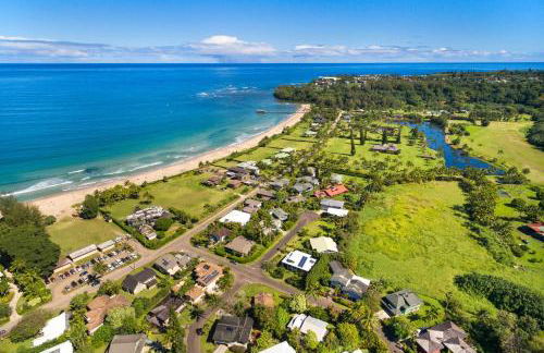 Kahu 'lo - Guardian Hawk - Foto 18