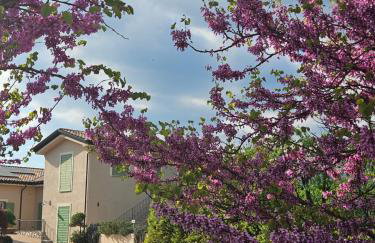 Agriturismo di charme Erbadoro - Foto 17