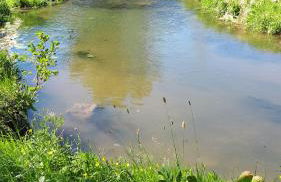 Gîte LES CHANTS DU CREPUSCULE - Foto 10