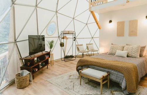 "Home Sweet Dome" MODERN TREEHOUSE STAY w/ Hot Tub - Foto 1