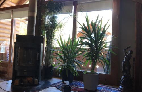 Landrosace - Foto 24