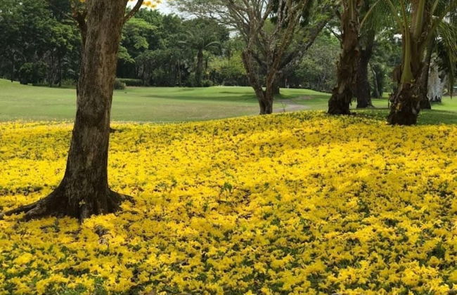 Villa Ocean Dreams Los Delfines Golf & Country Club - Foto 29