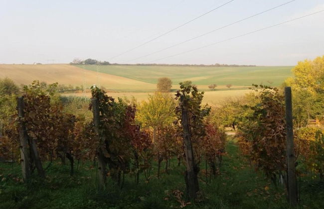 Relaxing Forest Escape With BBQ - Foto 34