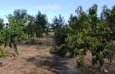 Quinta Damigo - Foto 62