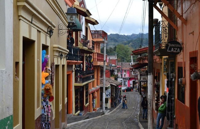 House of Ficus Banderilla,veracruz-mexico - Foto 59