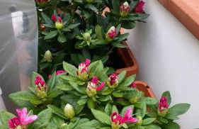 Ti racconto il mare - Foto 22