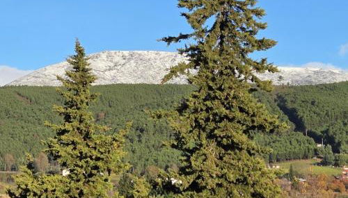 Quinta da Feteira - Conforto, Aventura, Saúde - Foto 3