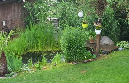 Ferienwohnung am Bruchwald - Foto 14