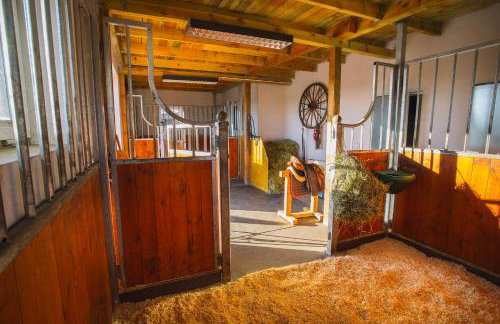 Ośrodek Wypoczynkowo Sportowy Pod Żurawiem - Foto 16