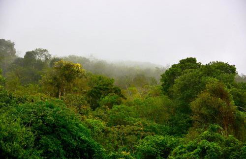 Sítio Maranatá, a mais bela vista do Pacoti! 20min de Guaramiranga! - Foto 3