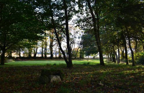 Delightful Dartmoor Apartment - Foto 15