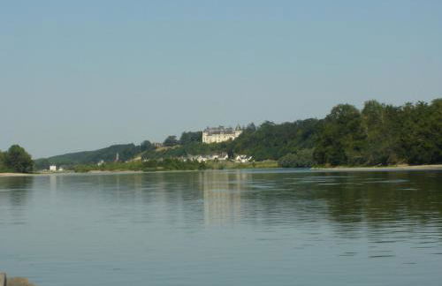 Les Bords de Loire - Foto 4