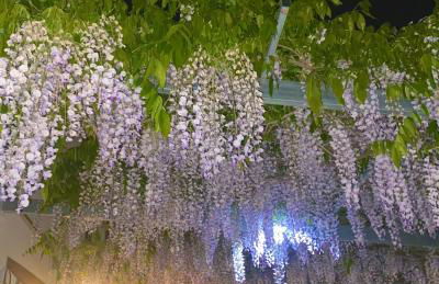 La Locanda Del Tevere - Foto 22