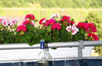 Appartement Familie Ernst - Foto 47