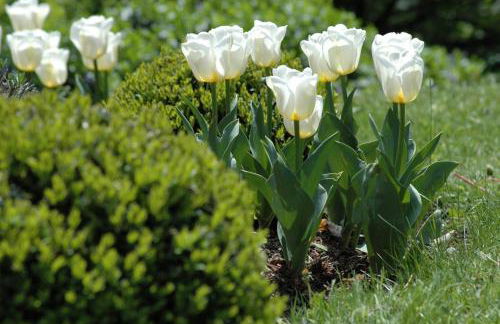 Ferienhaus Nest - Foto 32