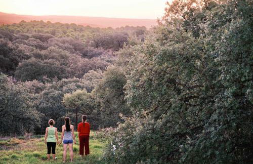 Casa Rural Puerto Cabero - Foto 34