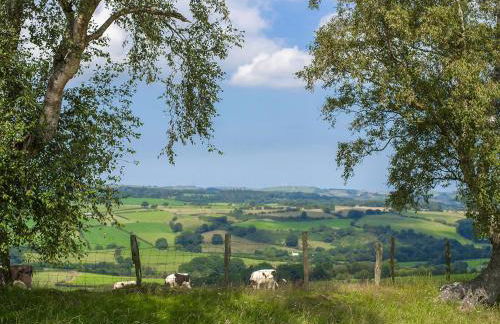 Dol Y Mynydd The Mountain Meadow - Cottage - Photo 22